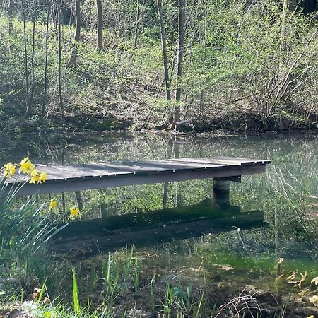 Ferienhaus Holzer Stressless Traisen Luaran gambar